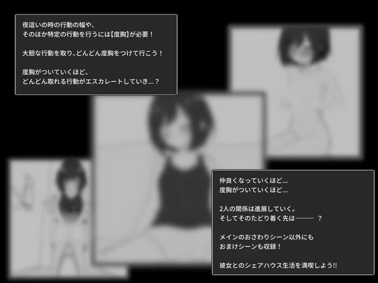 秘密合租生活 秘密共享生活 秘密のシェアハウスせいかつ v1.07 PC端 汉化版 预览图