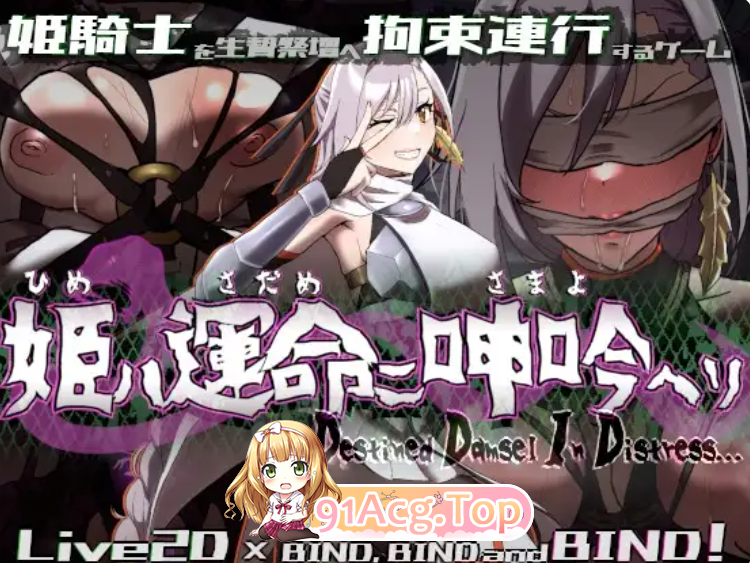 姫ハ運命ニ呻吟ヘリ Destined Damsel In Distress V1.05 官中步兵 双端 官中高清完整版 预览图