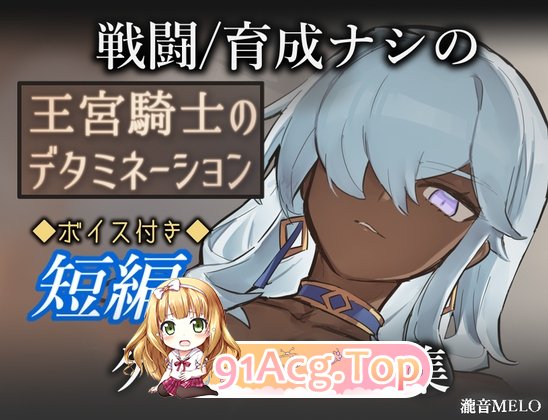 丰满身形/丰满身形 王宫骑士的决心 王宮騎士のデタミネーション PC端 AI汉化完整版 预览图