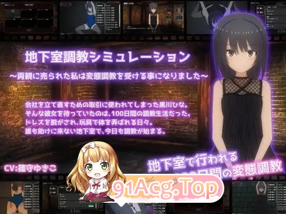 地下室养成模拟～被父母卖掉的我接受了特殊行为养成～ PC端