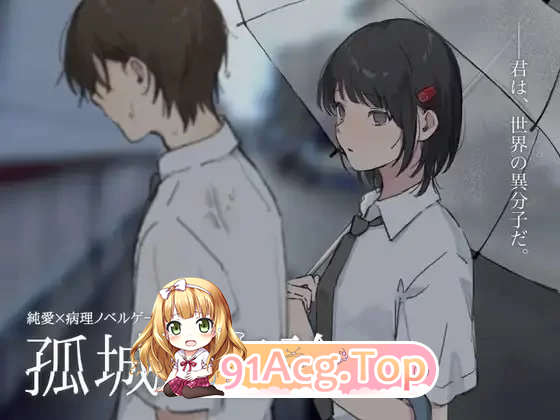 孤城空论 孤城の空论 v1.0 PC端 汉化版 预览图