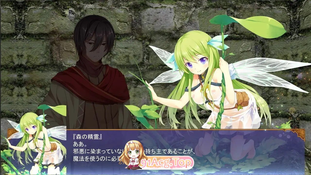 魔界公主与森林魔女 魔王の娘と森の魔女 v1.2 PC端 日文原版 预览图