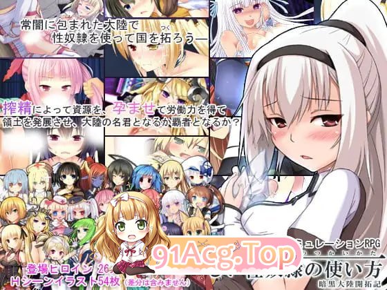 题材隶的正确使用方法-暗黑大陆开拓记 正しい题材隷の使い方-暗黒大陸開拓記-v2.2.0 PC端 汉化版 预览图