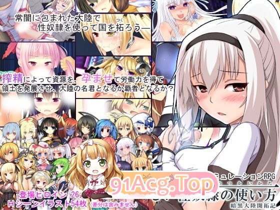 题材隶的正确使用方法记-v2.2.0 PC端 汉化版 预览图