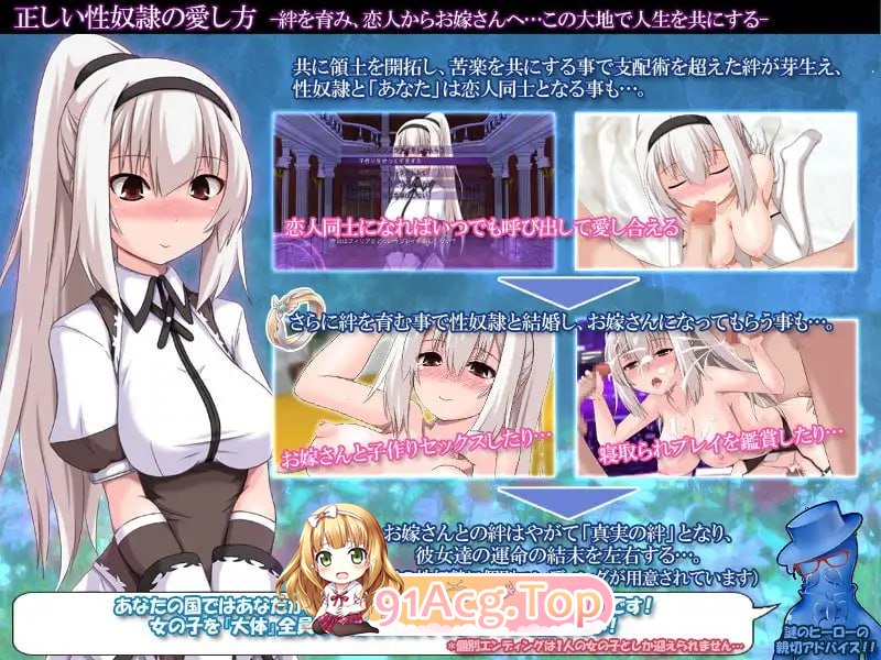 题材隶的正确使用方法 正しい题材隷の使い方 v2.2 修复版 PC端 汉化版 预览图