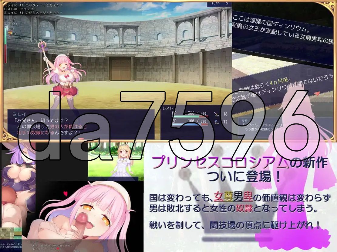 公主竞技场2 プリンセスコロシアム2 PC端 AI汉化更新版 预览图