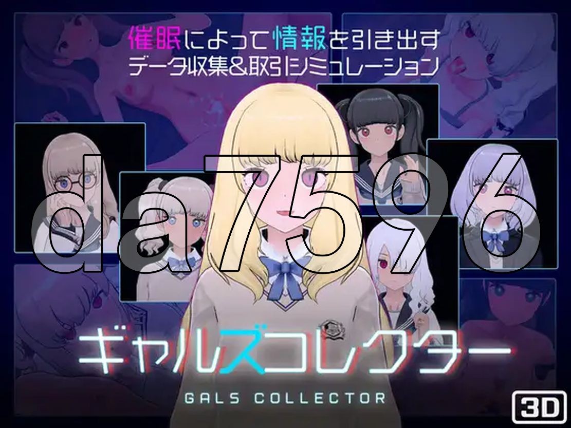 女孩收藏家 ギャルズコレクター 生特别版本 PC端 更新版 预览图