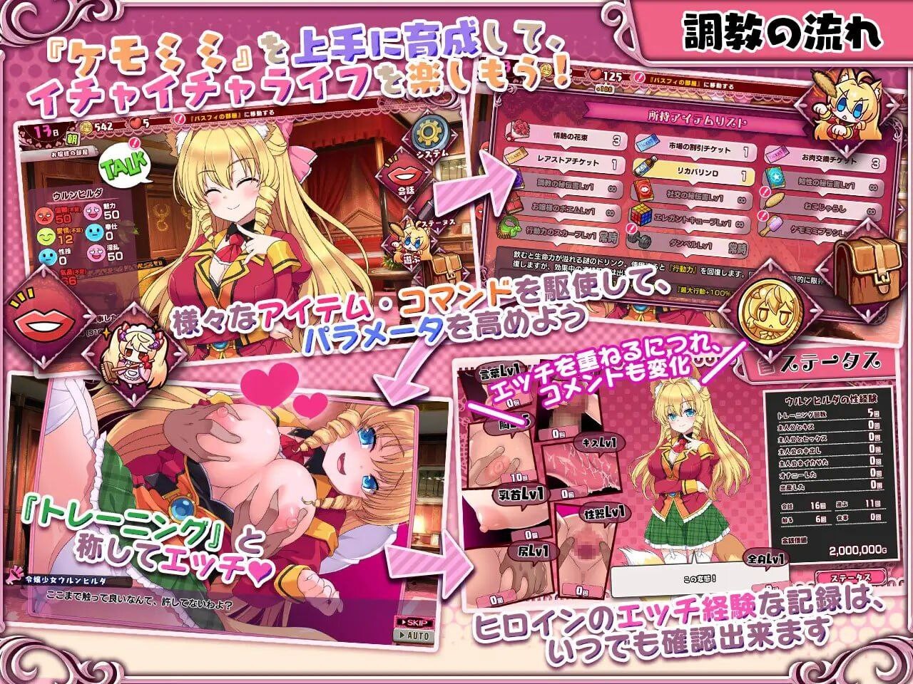 兽耳☆训练 ～狂暴兽耳大小姐的养成试验 PC端 官中版 预览图