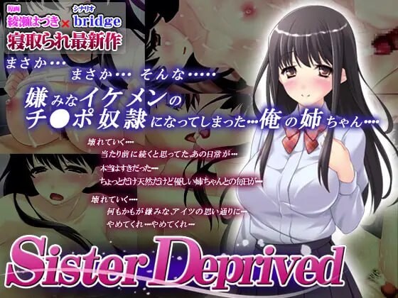 被剥夺的姐姐 Sister Deprived PC端 汉化完整版 预览图