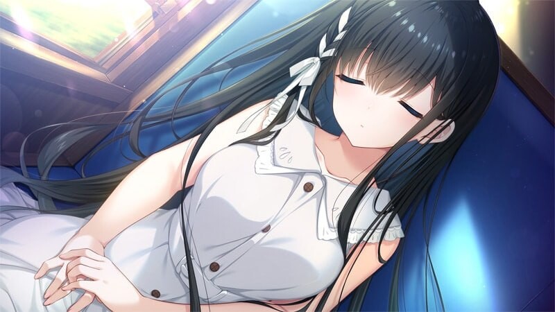 喜林草 -我们擦肩而过-ネモフィリア -We pass each other- v1.30 PC端 汉化版 预览图