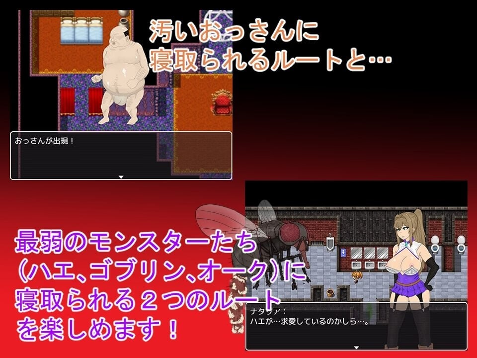 堕落之塔与跨种族淫乱 NTRRPG 堕落の塔と異種たちの狂宴 v1.0 精翻简中完结篇 双端 预览图
