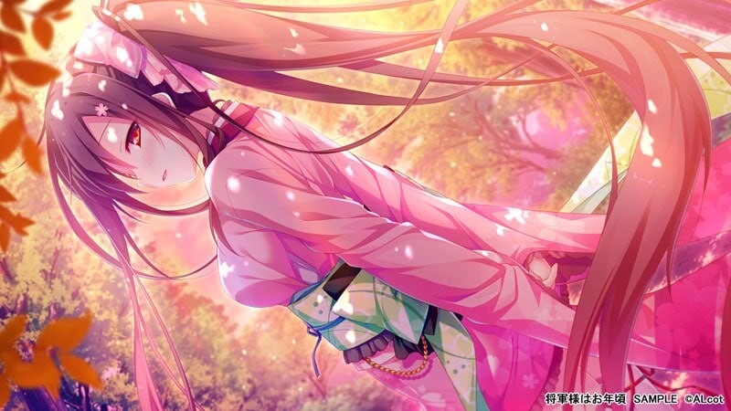 将军大人芳华正茂 Shogun-sama wa Otoshigoro 将軍様はお年頃 PC端 汉化版