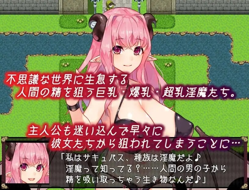不可思议之国的梦魔 不思議の国のサキュバス Ver2.20 PC端 AI汉化版 预览图
