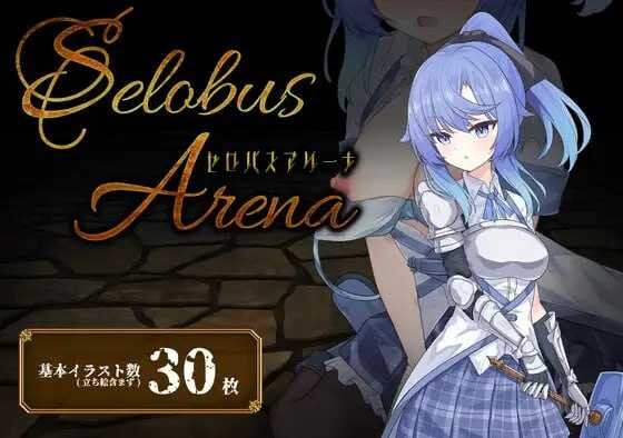 瑟罗巴斯竞技场/SelobusArena Ver1.04 PC端 AI汉化版 预览图