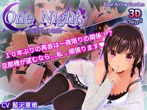 一夜之间～仅此一夜的年少伴侣～ One Night～一夜限りの年少伴侣～ PC端 预览图