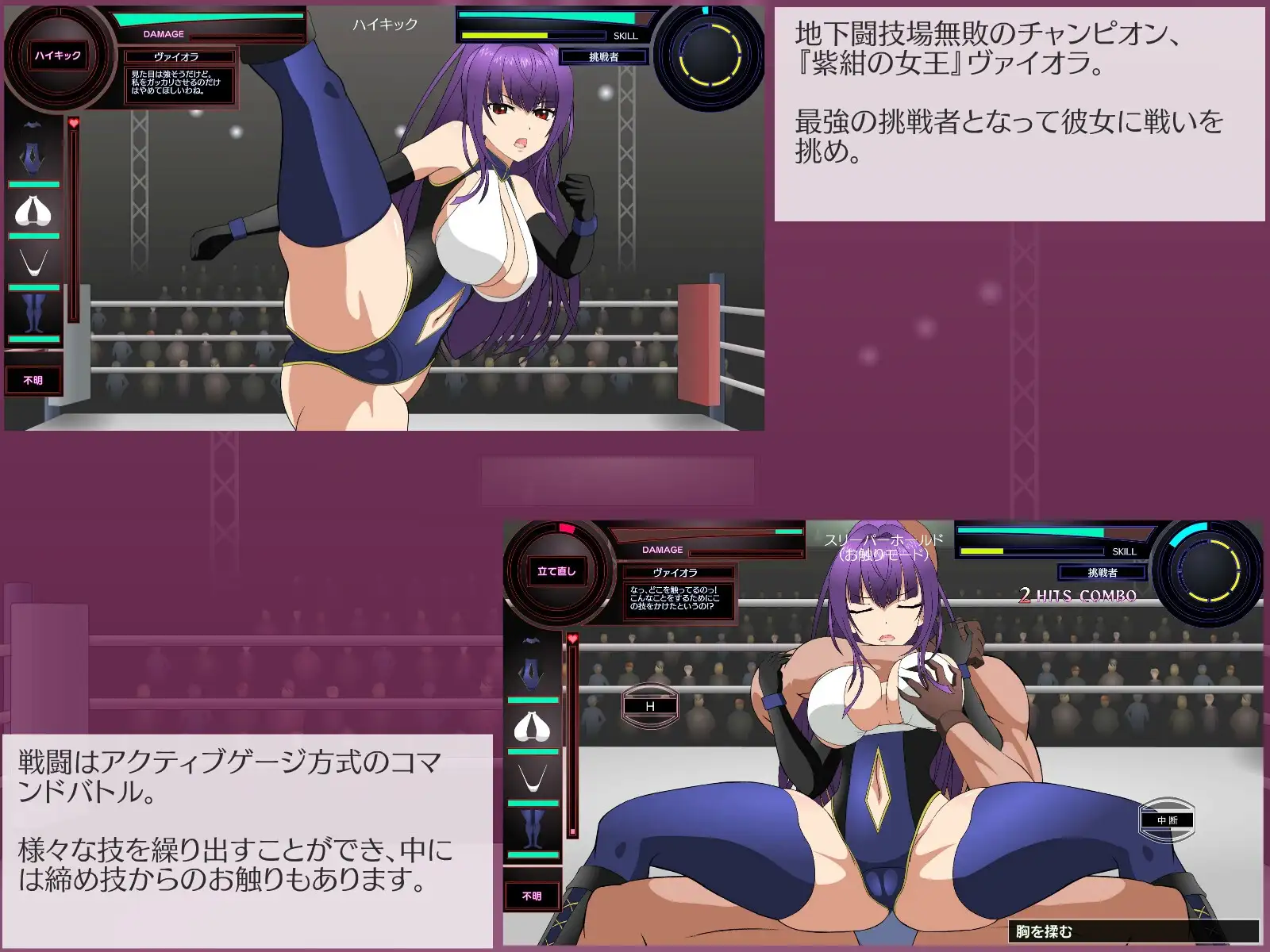 斗技女王薇奥拉 闘技女王ヴァイオラ PC端 AI汉化版 预览图