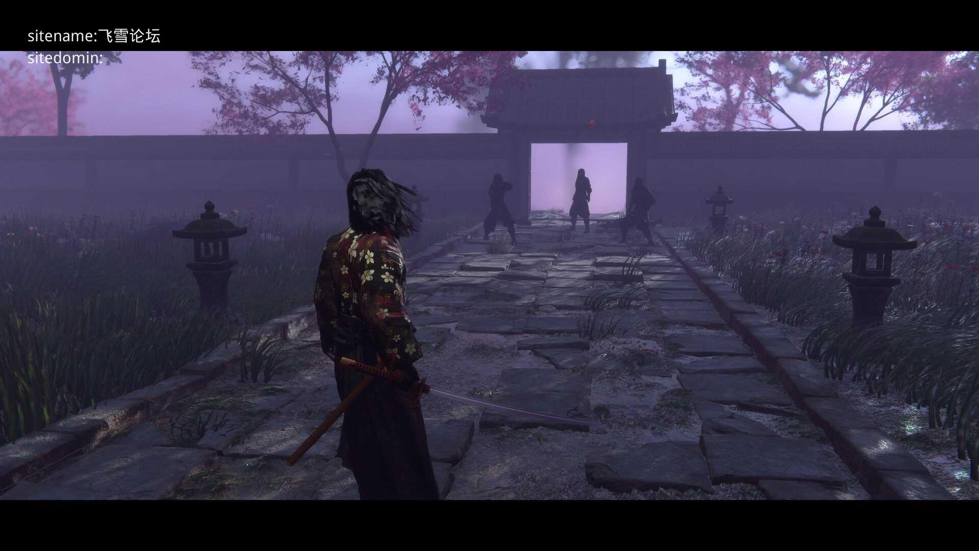红面具浪人：欲望与暗影/Red Masked Ronin: Desires and Shadows PC端 官中高清版 预览图