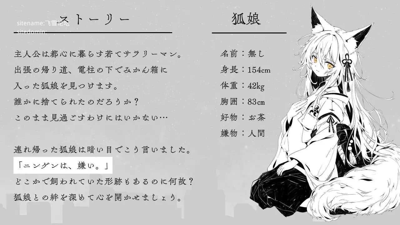 捡到的狐娘逐渐亲近的夜晚/拾った狐娘が少しずつ懐いてくる夜 双端 AI汉化版 预览图