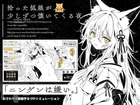 捡到的狐娘逐渐亲近的夜晚/拾った狐娘が少しずつ懐いてくる夜 双端 AI汉化版