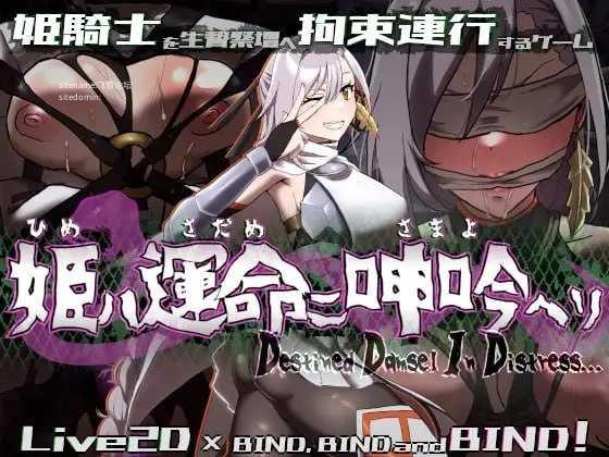 命运束缚的公主/姫ハ運命ニ呻吟ヘリ Destined Damsel In Distress PC端 官中高清版 预览图