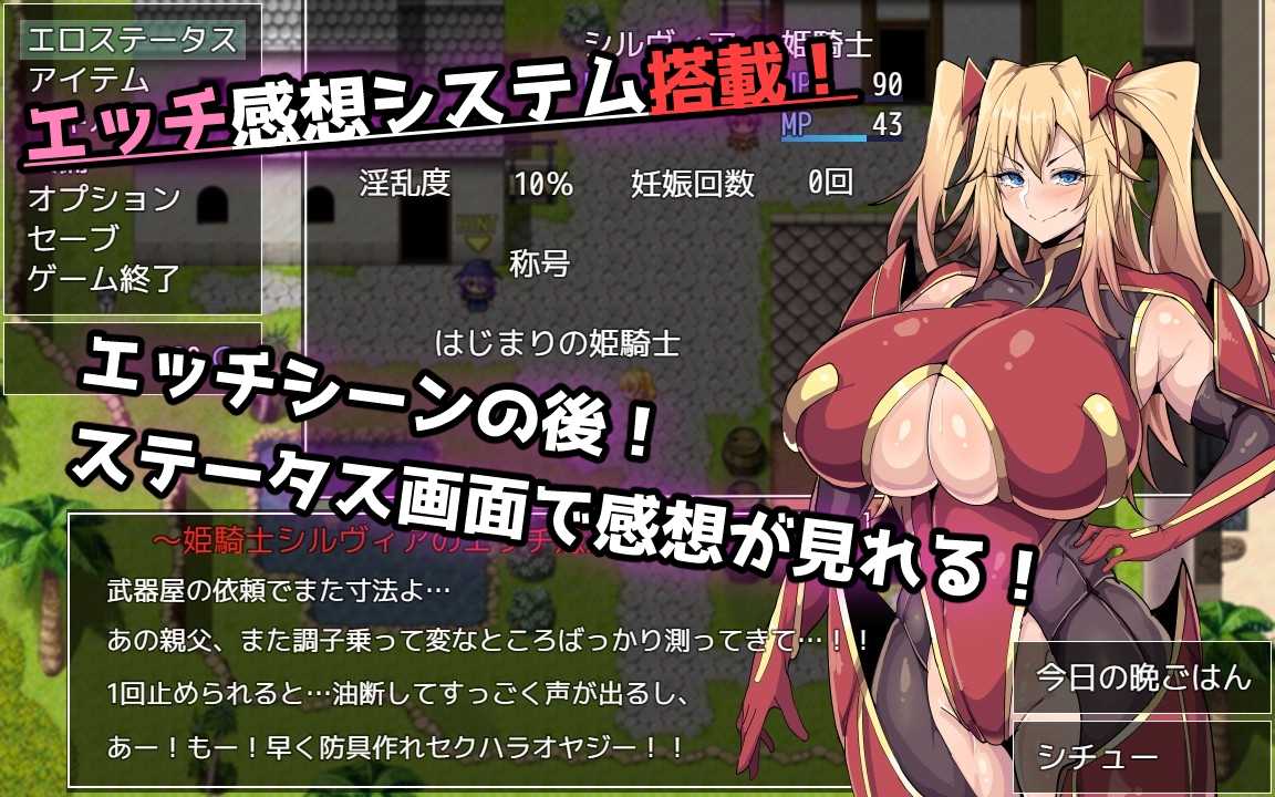 公主骑士西尔维娅/姫騎士シルヴィア AI汉化Demo版 PC端 AI汉化版 预览图