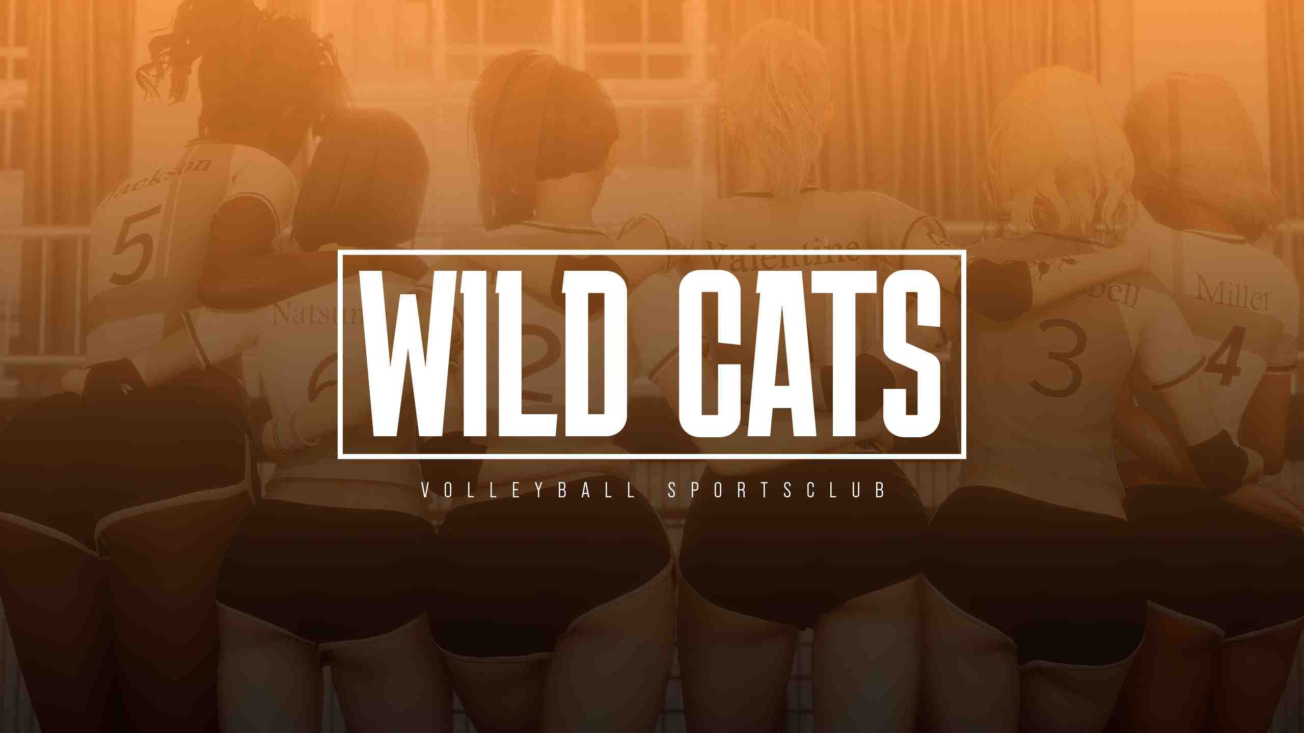 野猫 Wild Cats v0.4 PC端 官中版