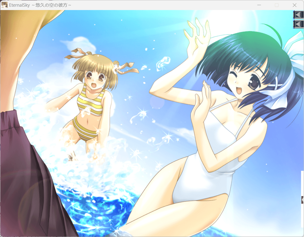 Eternal Sky ～悠久の空の彼方～ PC端 预览图