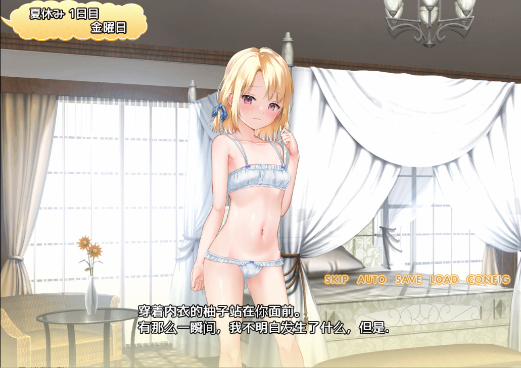 妹妹的夏日生活 メスガキサマーライフ 双端 汉化版 预览图