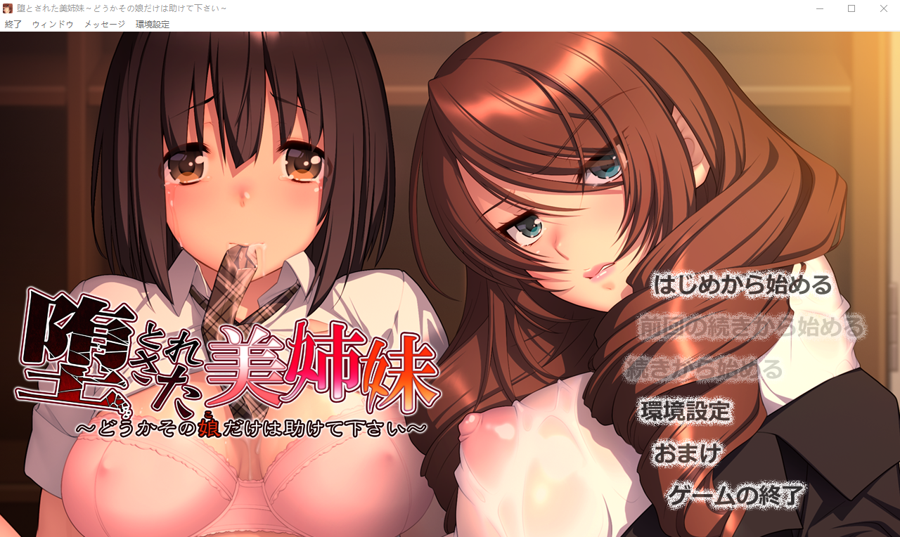 堕落美姐妹～请救救那个女孩～堕とされた美姉妹 ～汉化版 PC端 预览图
