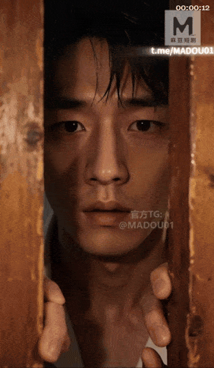 AI短剧《合租：同一屋檐下的秘密》 EP1-6合集 动漫视频 PC端 预览图