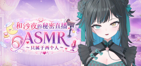 SecretStreamAgency PC端 预览图