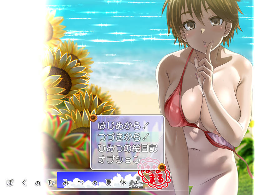 我的秘密暑假花丸/ぼくのひみつの夏休み はなまる ver1.0.9 PC端 汉化版 预览图