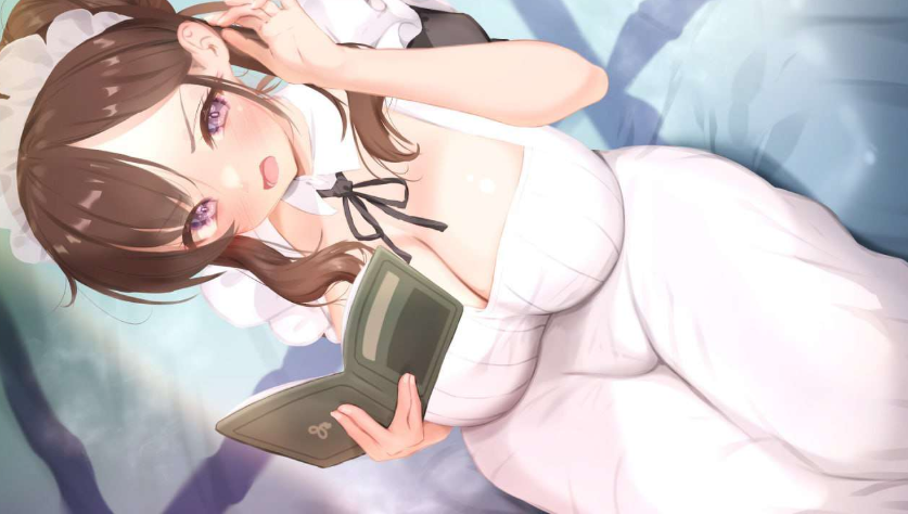 妈妈为何这样 Ver0.5.0官中(He Maid Her Fall) PC端 官中版 预览图