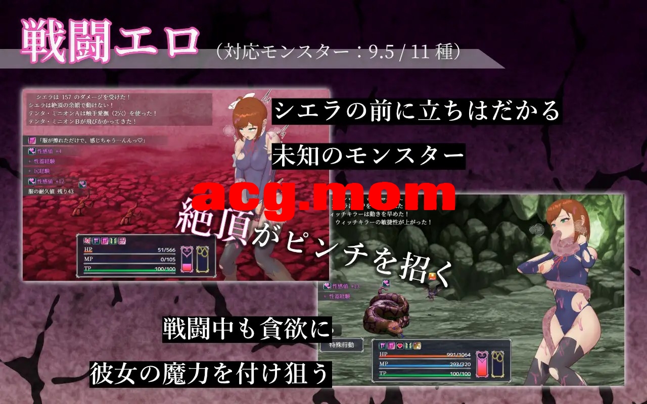 希艾拉的淫靡异变调查 -女剑士独自沉沦- シエラの淫らな異変調査 -女剣士はソロでイク- 内嵌AI汉化版 双端 预览图