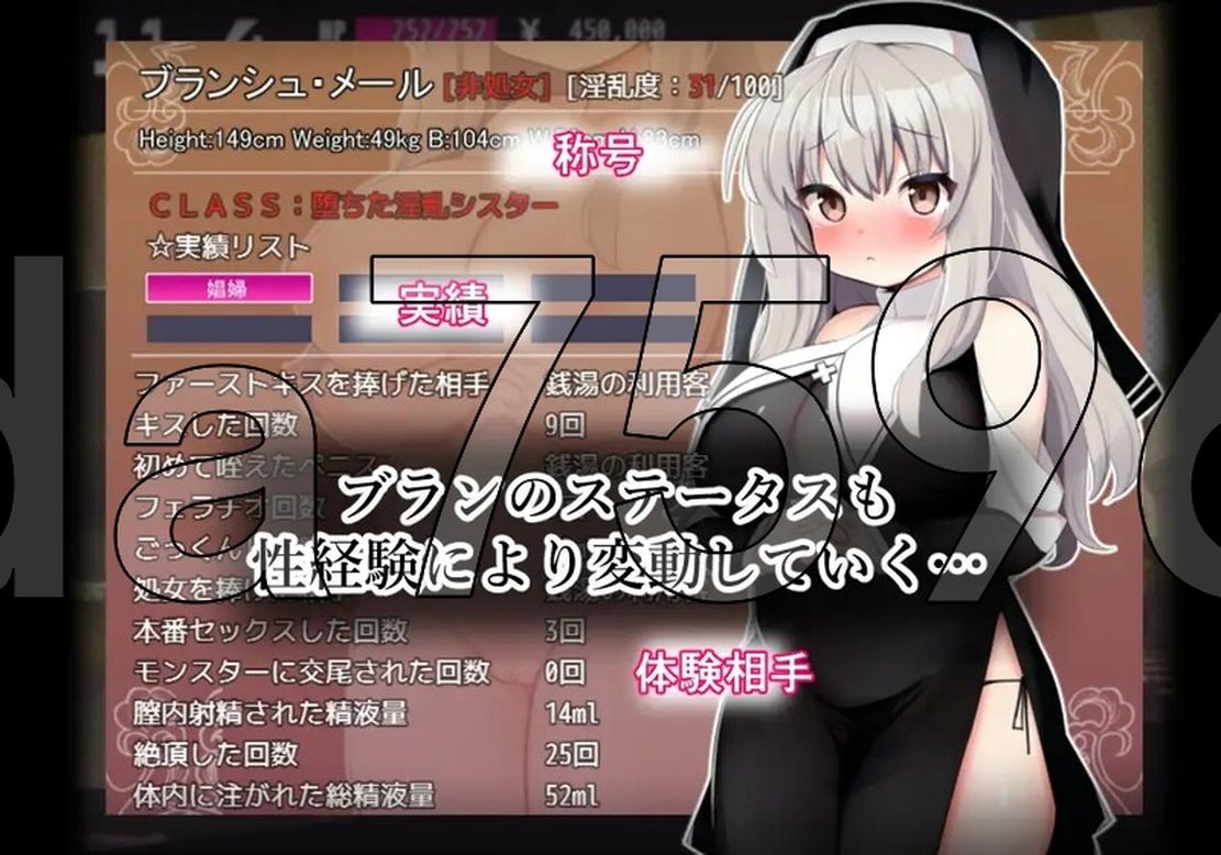 布兰修女和被封印的异化角色 シスターブランと封印の异化角色 v3.0 双端 预览图