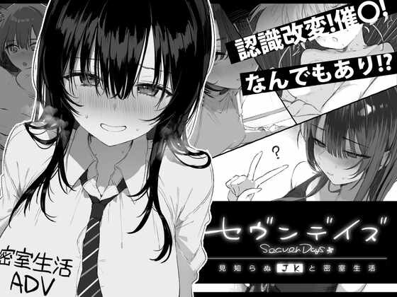 SLG汉化PC 七日 与陌生JK的密室生活 PC端 汉化版 预览图