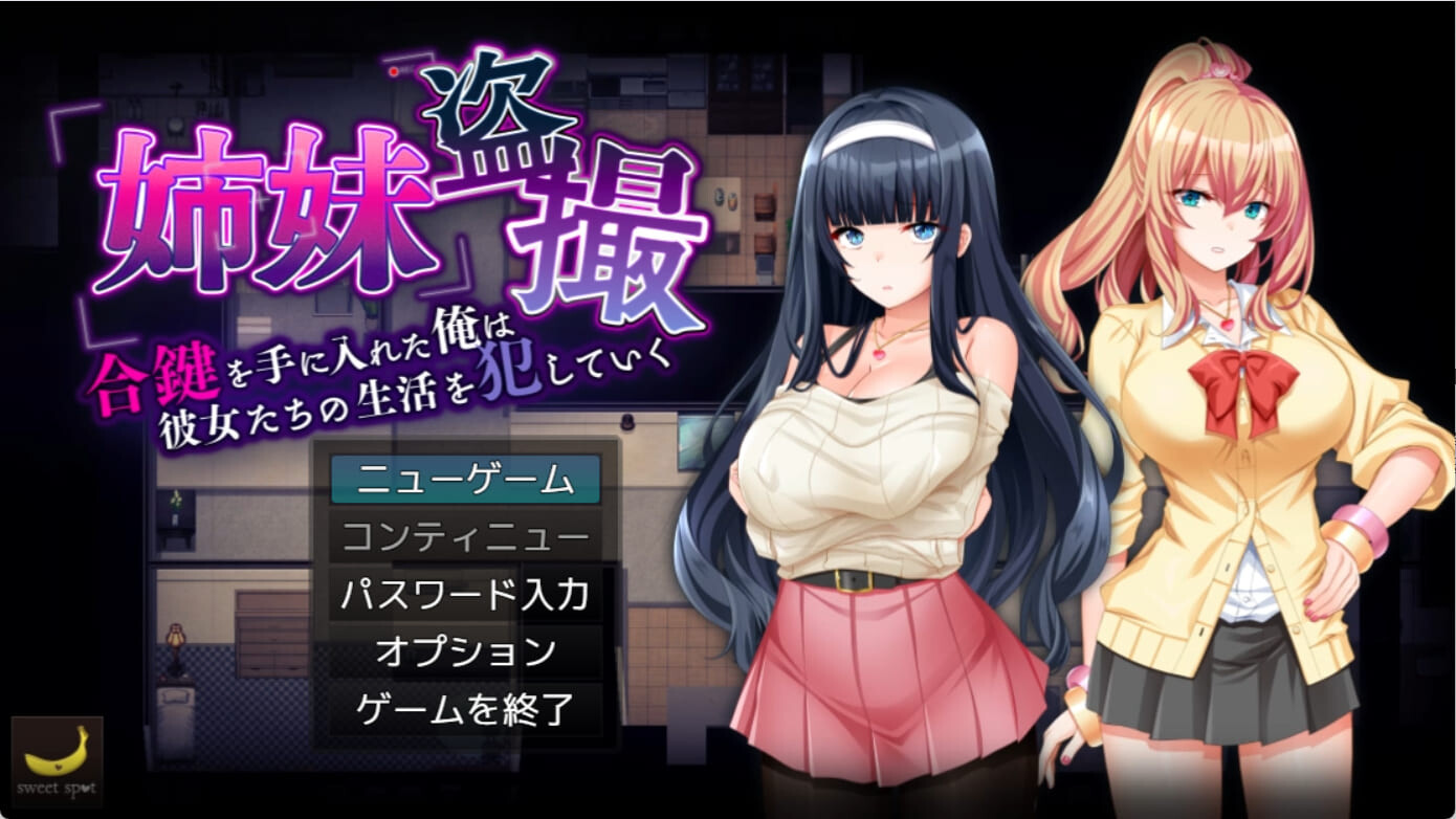 姉妹盗撮～合键を手に入れた俺は彼女たちの生活を犯していく～Ver1.01 PC端 日文原版 预览图