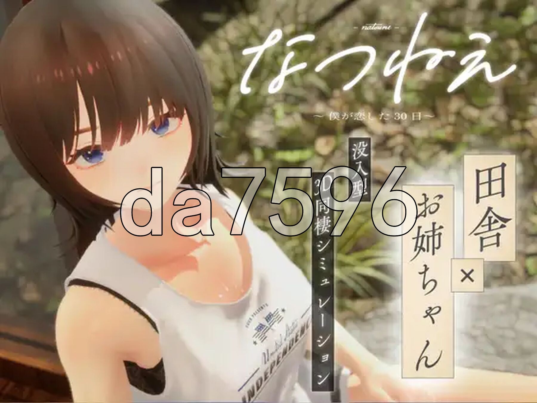 夏姐姐 ～我恋爱的30天～ なつねえ ～僕が恋した30日～ ver1.10 正式版+自带全回想+服装存档 PC端 完整版 预览图