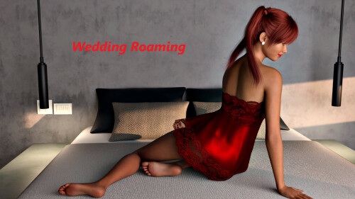 婚礼漫游 Wedding Roaming v0.7 PC端 AI汉化版 预览图