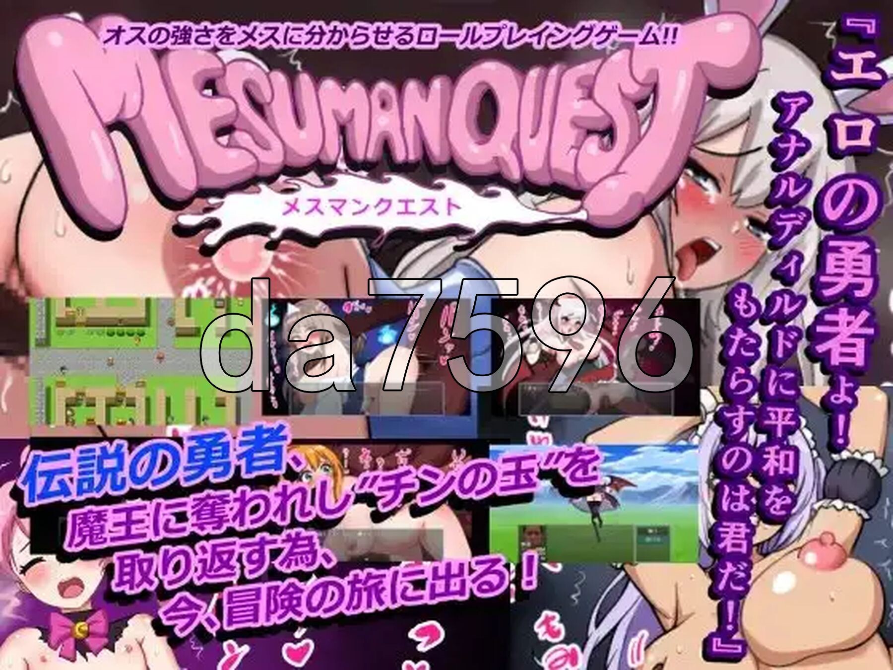 女性任务 メスマンクエスト PC端 AI汉化版 预览图
