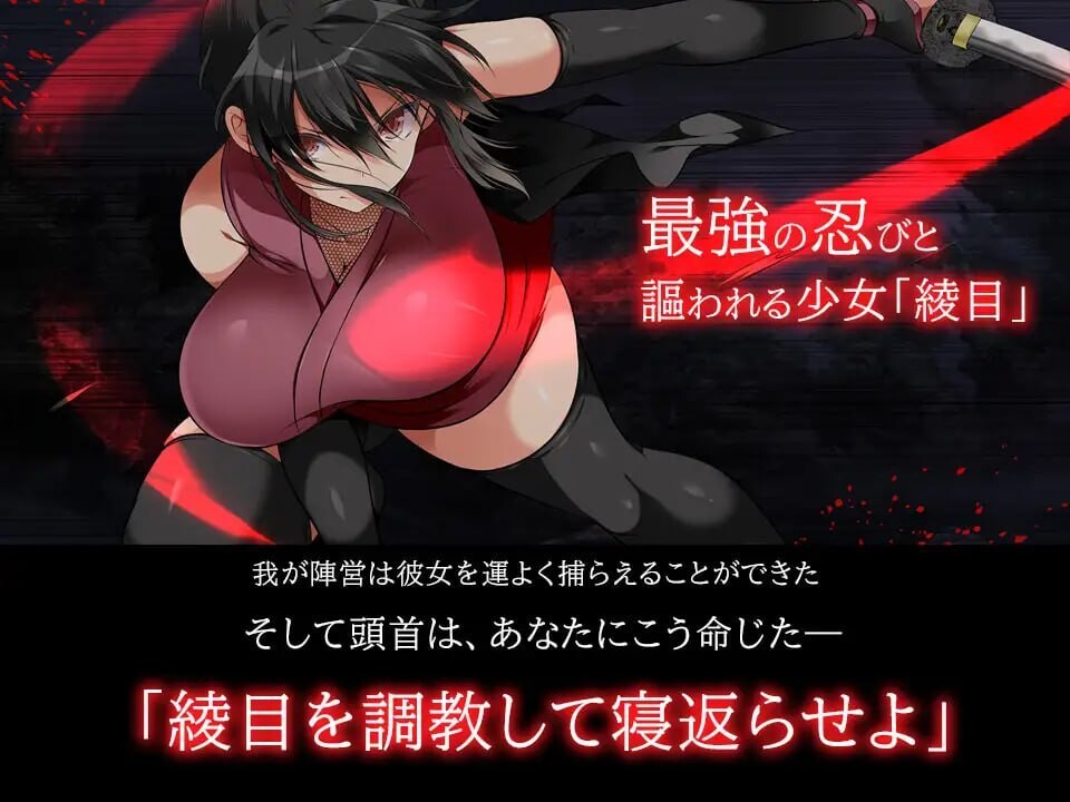 忍堕 女忍养成 忍堕とし PC端 汉化版 预览图