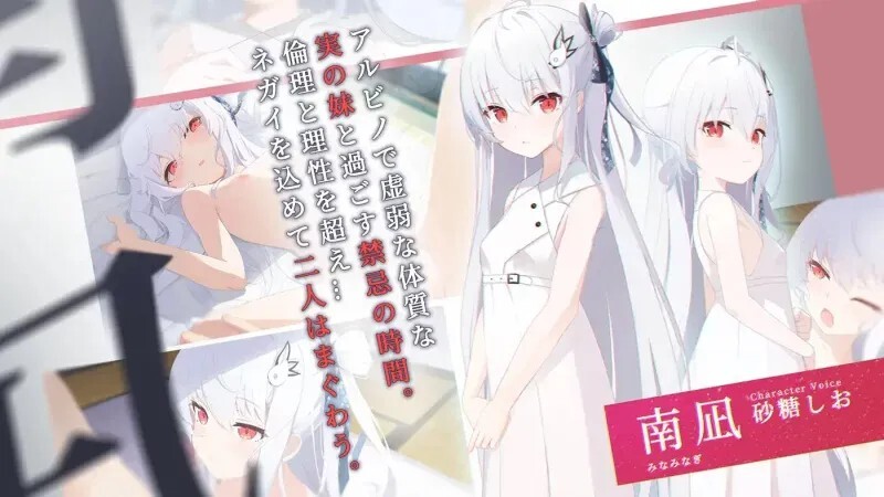 破碎的祈愿 カタネガイ v20260501 PC端 官中版 预览图
