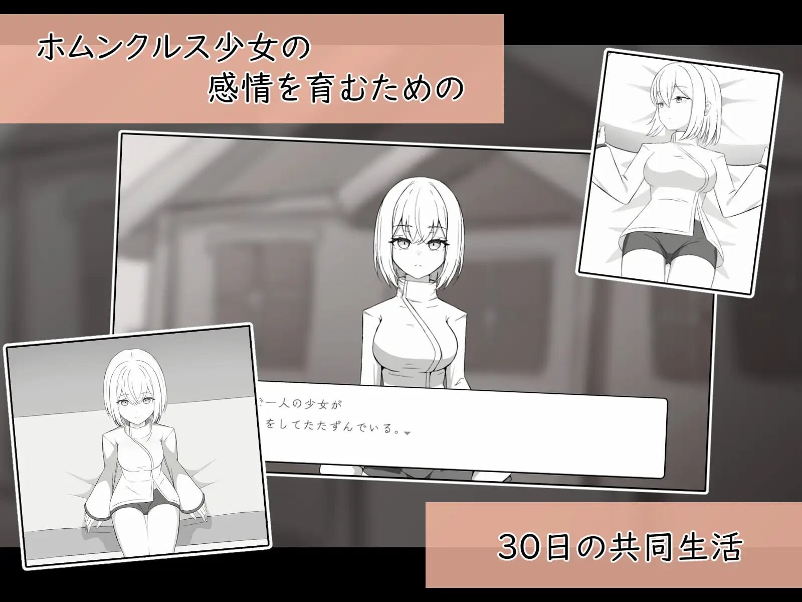 人造少女诊察记录 人造少女の診察カルテ PC端 日文原版 预览图