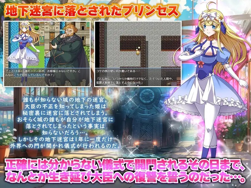 DL6月新作 回合RPG/2C 地下迷宫365 公主独自一人生存的绝望一年 PC端 更新版 预览图