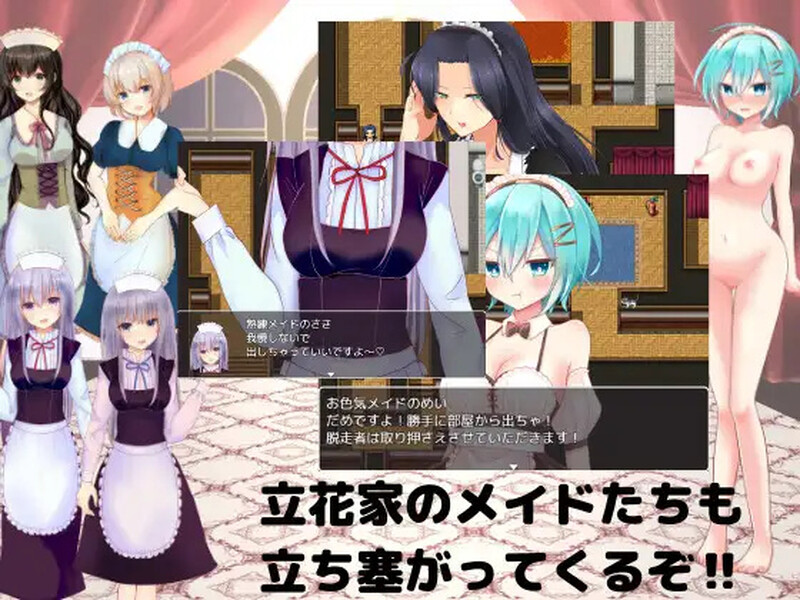 お屋敷からの脱出-）V1.0 内嵌AI汉化版 双端 预览图