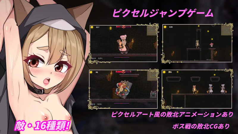 隐匿在愿望之城的异世界（愿望の城に隠された異世界）V1.0.2 DL官方中 PC端 官中版 预览图