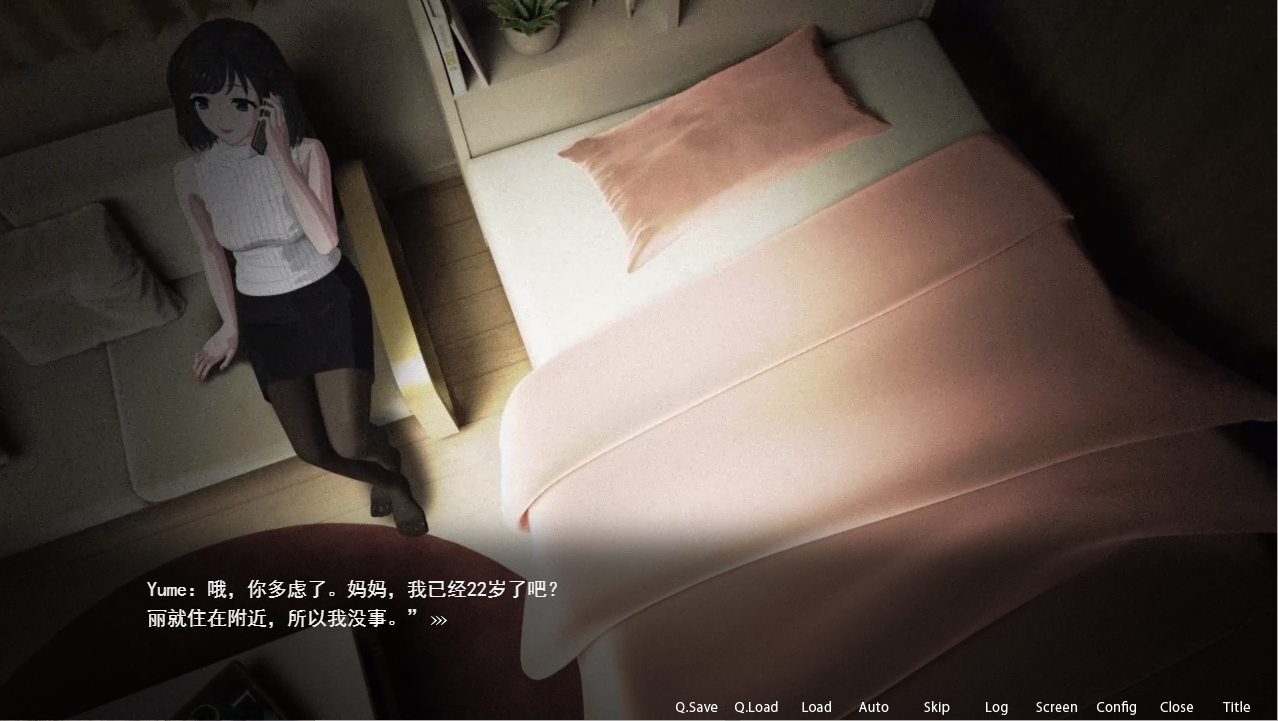 Ver2.05 官方中文版 PC端 官中版 预览图