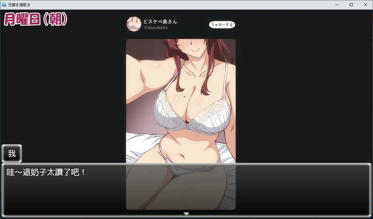 夺取兄嫂 ～屈服于我胁迫的义姐之淫乱秘密～ 双端 官中版 预览图