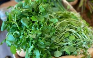 Cải xoong – “Quân tướng” trong danh sách rau củ hành tinh